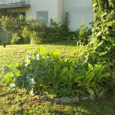 Rochas Shared Apart Garden Refuge Funchal  Exterior foto