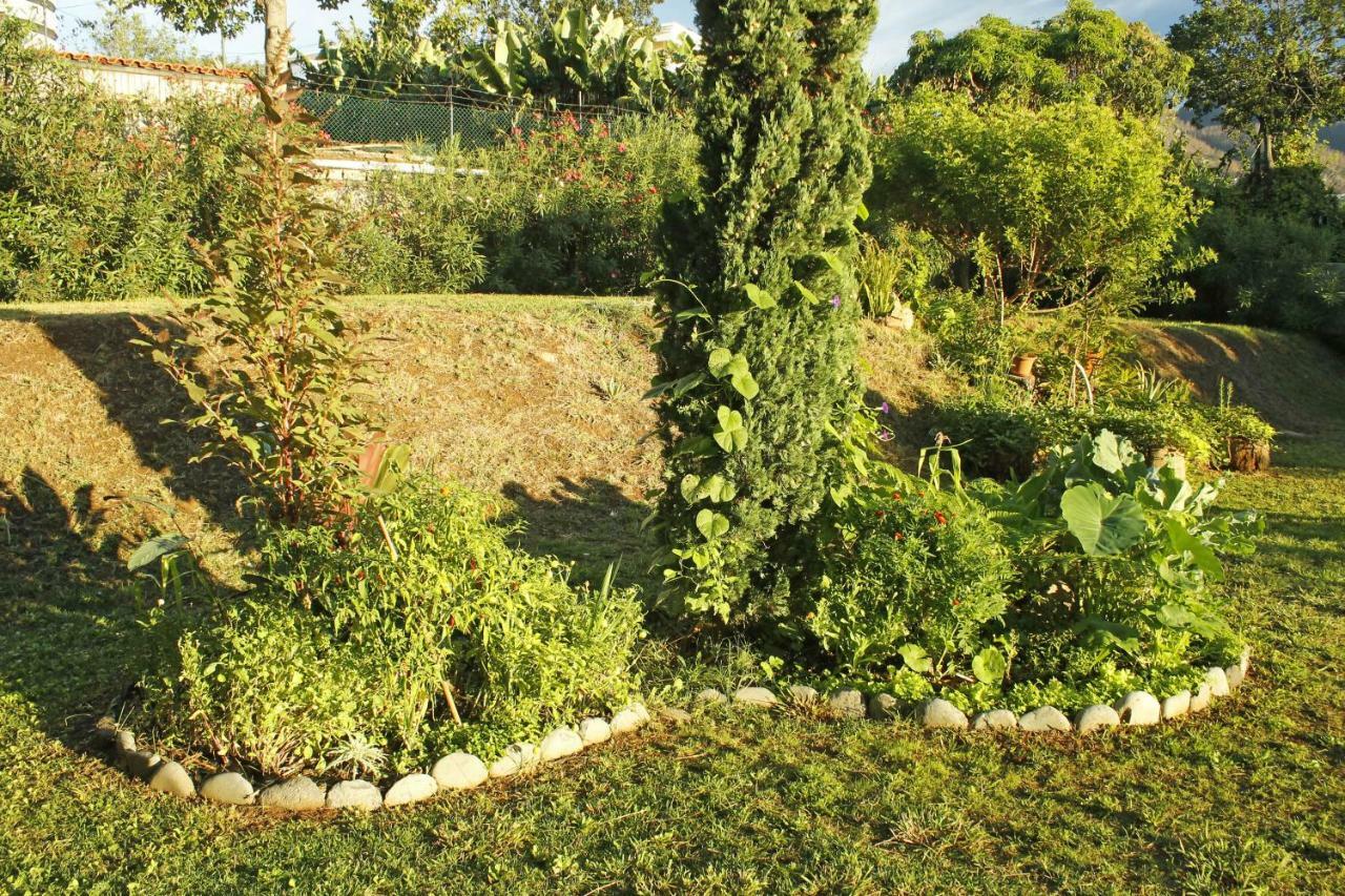 Rochas Shared Apart Garden Refuge Funchal  Exterior foto