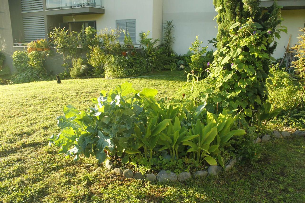 Rochas Shared Apart Garden Refuge Funchal  Exterior foto