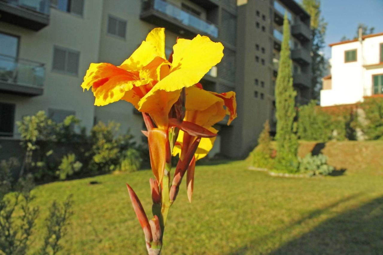 Rochas Shared Apart Garden Refuge Funchal  Exterior foto