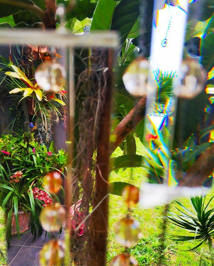 Rochas Shared Apart Garden Refuge Funchal  Exterior foto